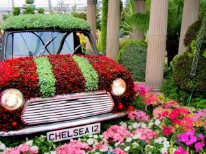 chelsea-flower-show