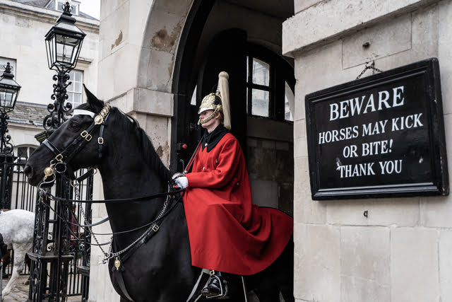 Horse-guards