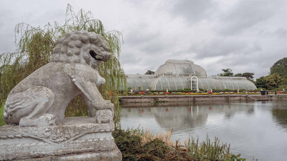 Lion-kew-gardens