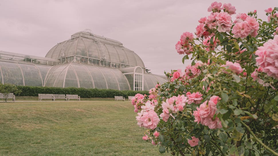 Serre Palm House à Kew Gardens