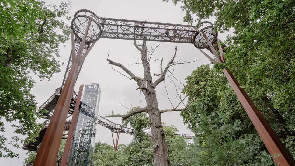 Kew-gardens-treetop-walkway