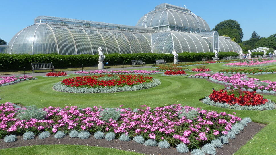 Palm House à Kew Gardens