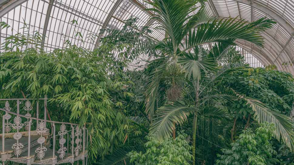 Intérieur de Palm House