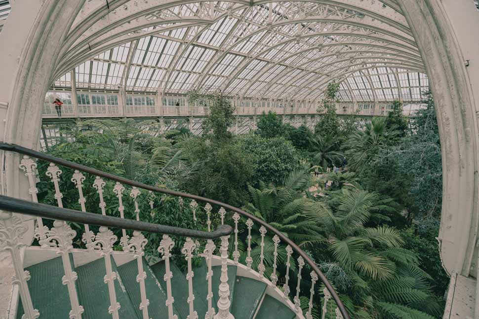 Temperate House