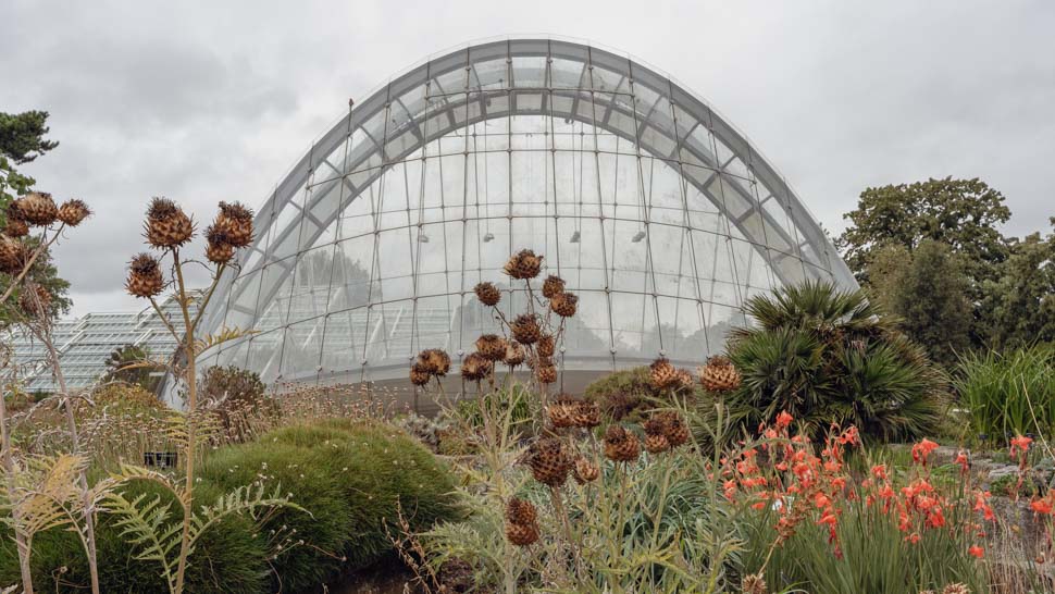 Kew-gardens-davies-alpine-house