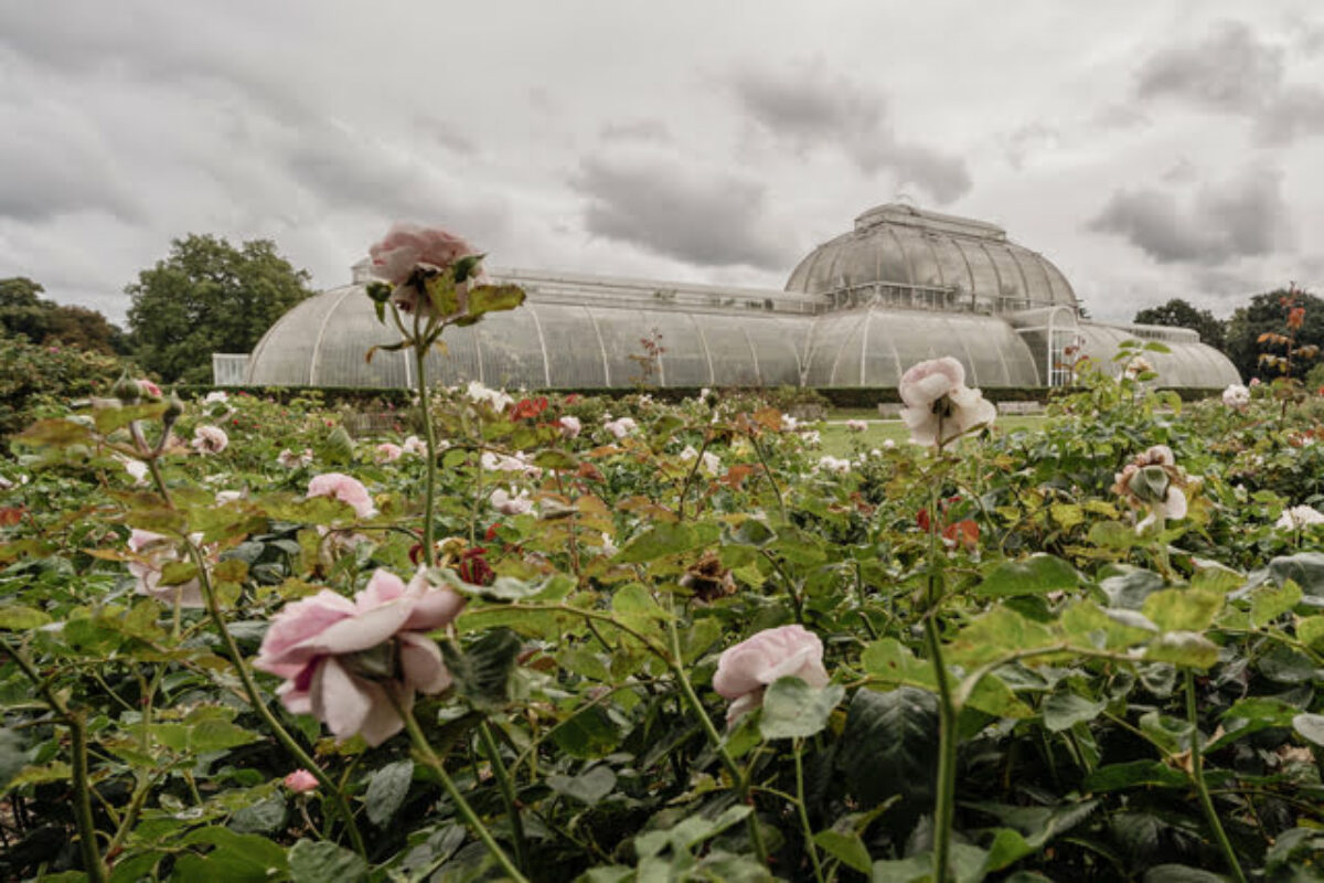 Kew Gardens: magnifique jardin botanique à l’ouest de Londres