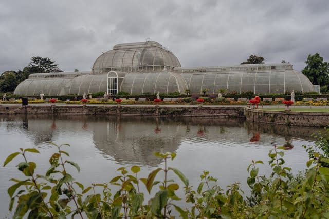 Kew-gardens-serre-palm-house