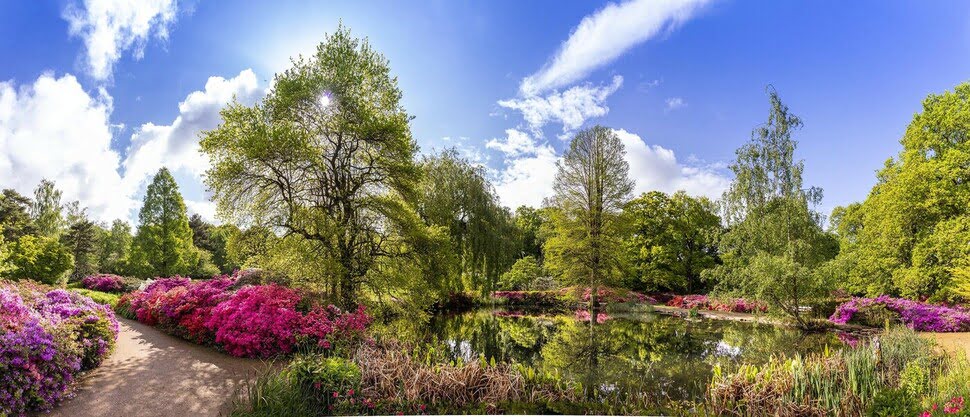 Isabella Plantation un jardin coloré à Richmond