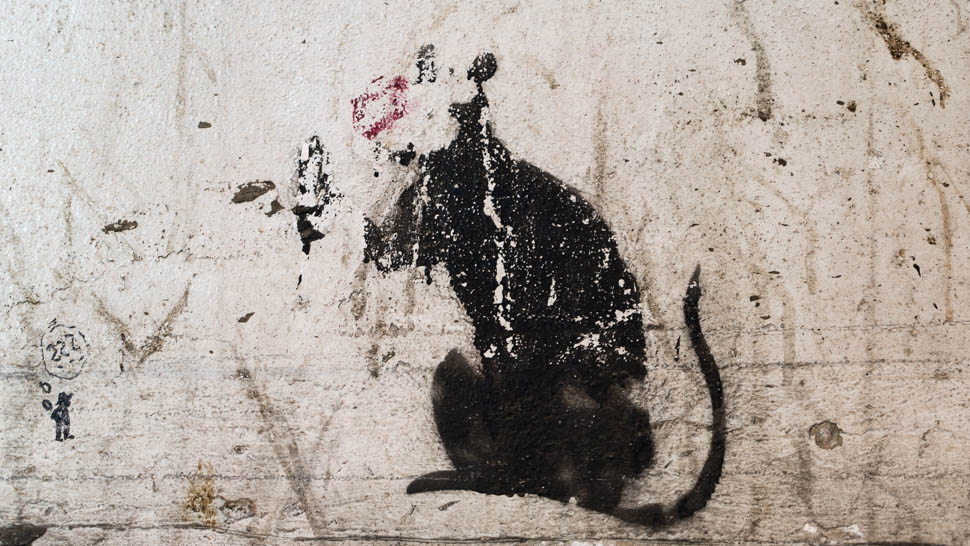 Banksy-Stencil-rat