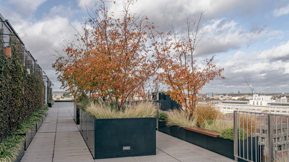 Rooftop-garden-Post Building