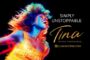 Tina the Musical : une comédie musicale biographique