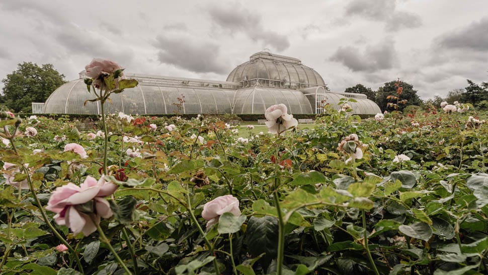 Palm House-Kew-gardens